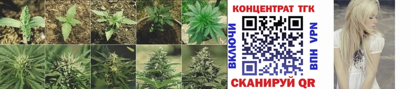 Купить  Оха  Дистиллят ТГК вейп 